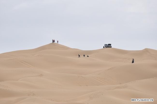 2010681315460.jpg