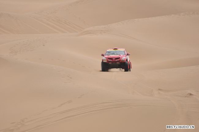 2010681628270.jpg