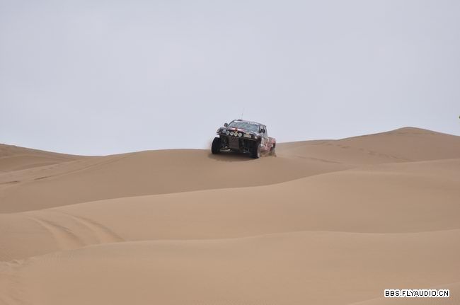 2010681628550.jpg