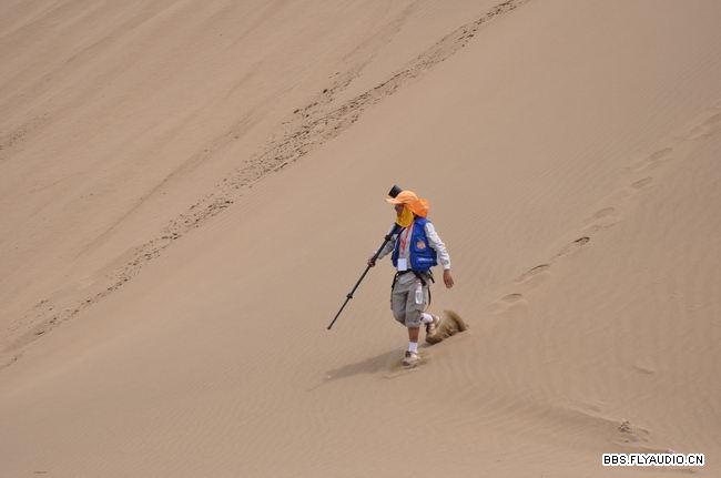 201068163033.jpg