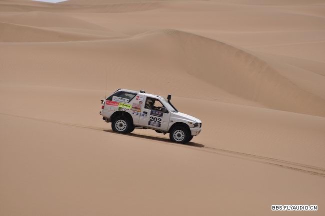 2010681713490.jpg