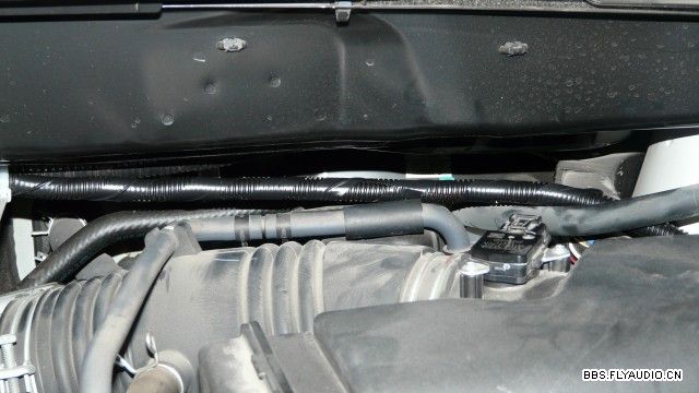 2011125195440.jpg
